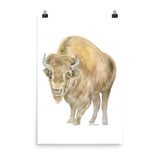 Bison Watercolor Print