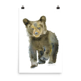 Black Bear Cub Watercolor