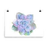 Blue Succulent Watercolor