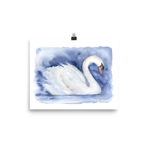 Swan Watercolor