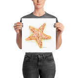 Sea Star Starfish Watercolor