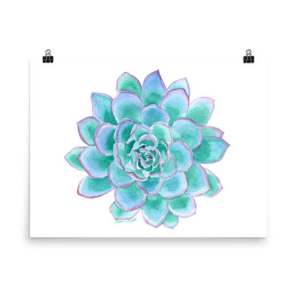 Teal Succulent Watercolor