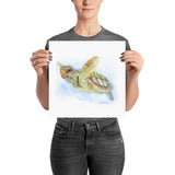 Sea Turtle Watercolor