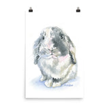 Lop Rabbit Watercolor