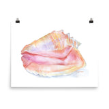 Conch Seashell Watercolor