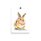 Bunny Rabbit Watercolor