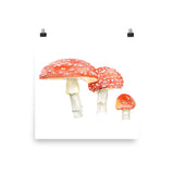 Toadstools Watercolor