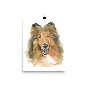 Collie Watercolor Dog Portrait Fine Art Print