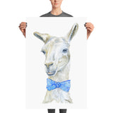 Llama with a Tie Watercolor