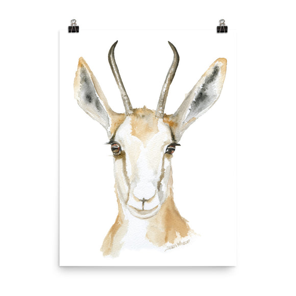 Springbok Antelope Watercolor