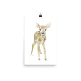 Deer Fawn Watercolor 2