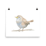 Wren Watercolor Print