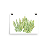 Cactus Moroccan Mound Watercolor