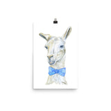 Llama with a Tie Watercolor