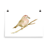 Sparrow Watercolor Print