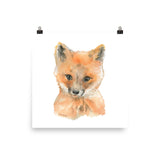 Baby Fox Face Watercolor