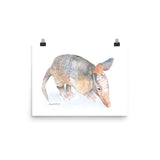 Armadillo Watercolor Print