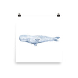 Sperm Whale Watercolor Art Print