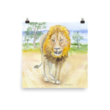 Lion in Africa Watercolor