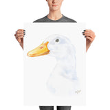 Duck Head Watercolor