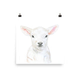 Baby Lamb Face Watercolor