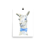 Llama with a Tie Watercolor