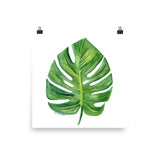 Monstera Leaf Watercolor