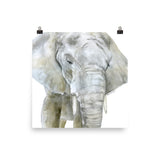 African Elephant Watercolor