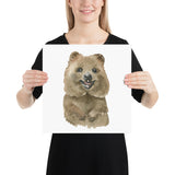 Quokka Watercolor Print - Australian Animals