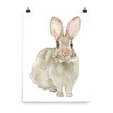 Cottontail Bunny Rabbit - Front - Watercolor Art Print