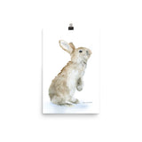 Tan Bunny Rabbit Watercolor