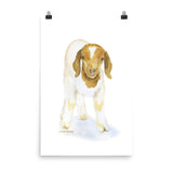 Goat Watercolor