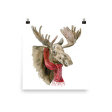 Moose in a Scarf Watercolor
