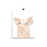 Pink Pig Watercolor
