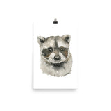 Baby Raccoon Face Watercolor