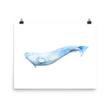 Beluga Whale Watercolor Print