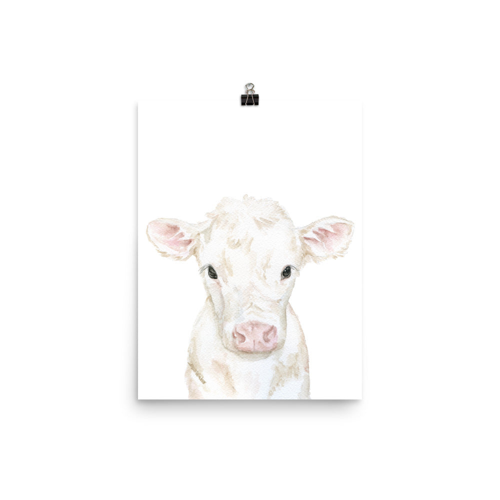 White Calf Watercolor Cow – Susan Windsor