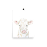 White Calf Watercolor Cow