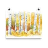 Birch Trees Watercolor Print