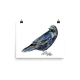 Raven Watercolor Print