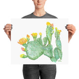 Prickly Pear Cactus Watercolor