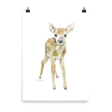 Deer Fawn Watercolor 2