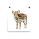 Baby Boar Watercolor