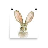 Jack Rabbit Watercolor