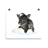 Calf Watercolor Baby Cow