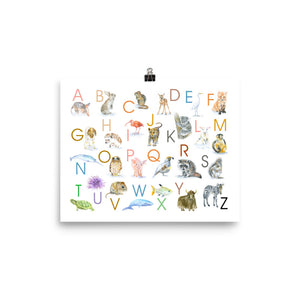 Animal Alphabet Poster Watercolor - Horizontal