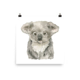 Koala Baby Watercolor