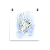 Sparrow in Flight Watercolor