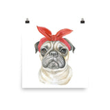 Pug with Bandana Watercolor Painting