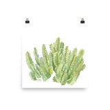 Cactus Moroccan Mound Watercolor